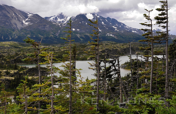 High country lake out of Skagway